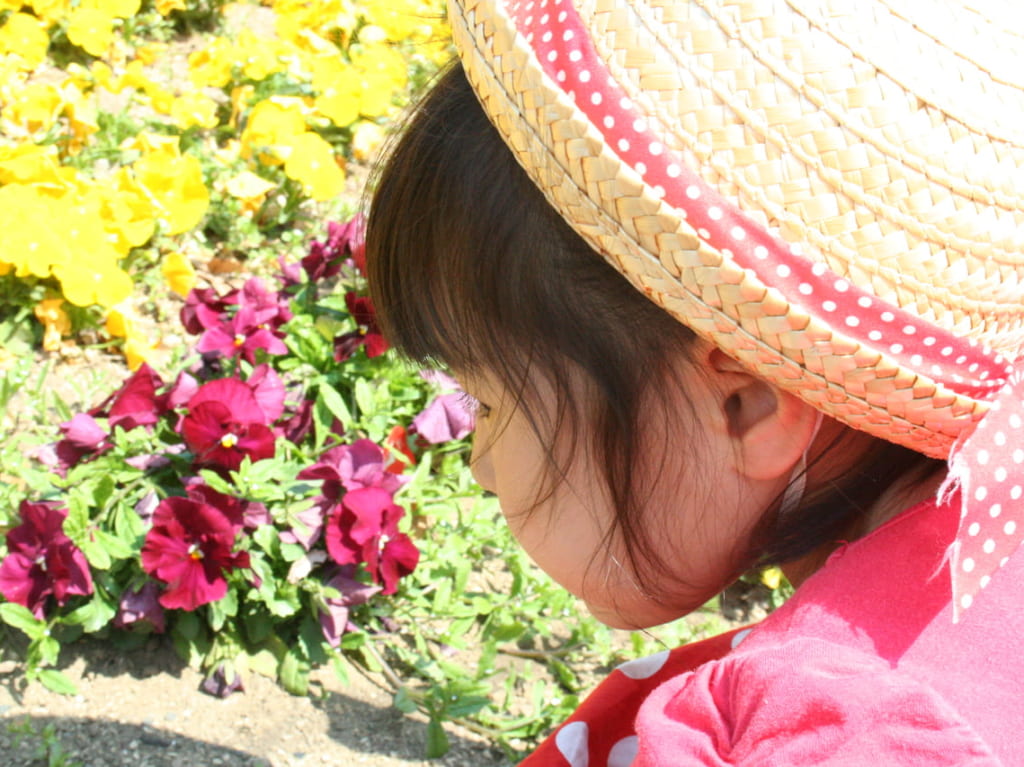 花を見る子ども