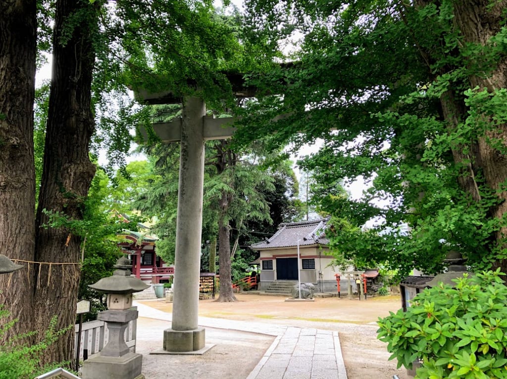 茅の輪が設置される鳥居の前