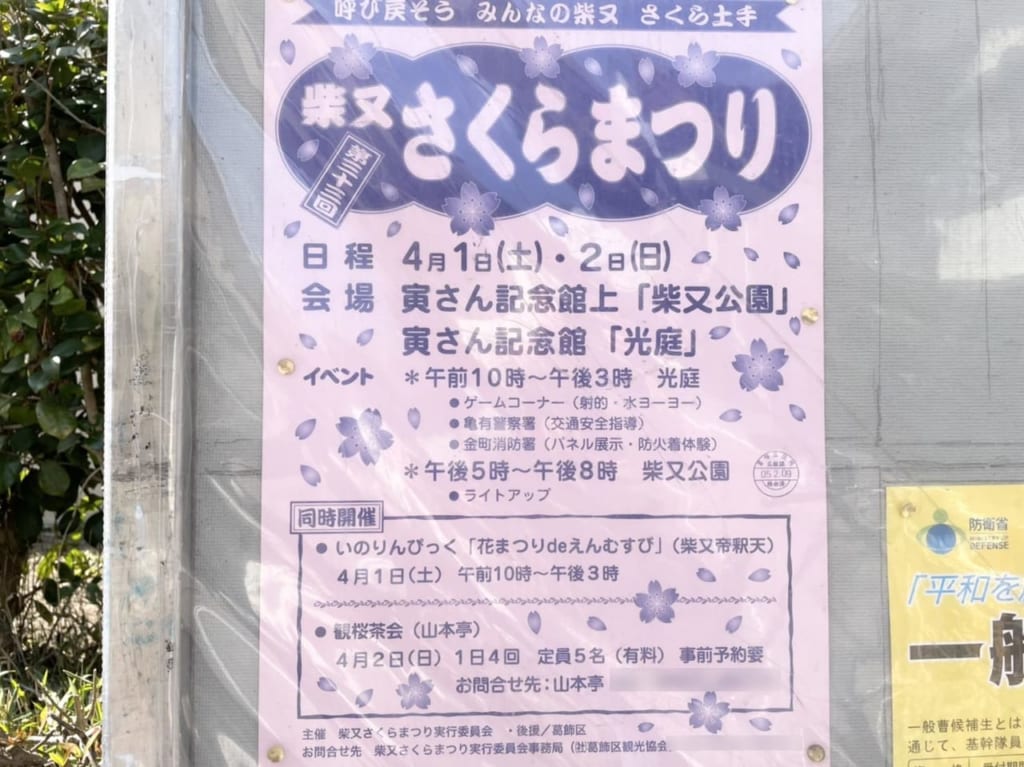 第33回柴又さくらまつりのお知らせ