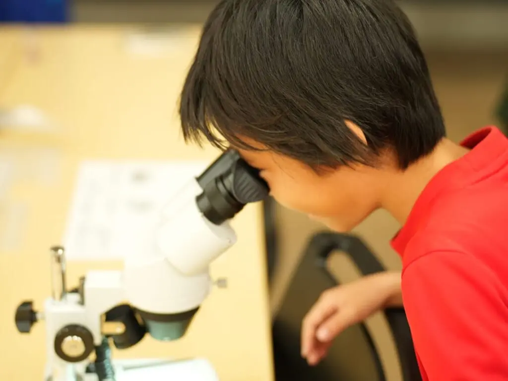 顕微鏡を覗き込む子供