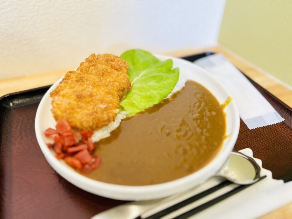 だしカレー・トンカツトッピング