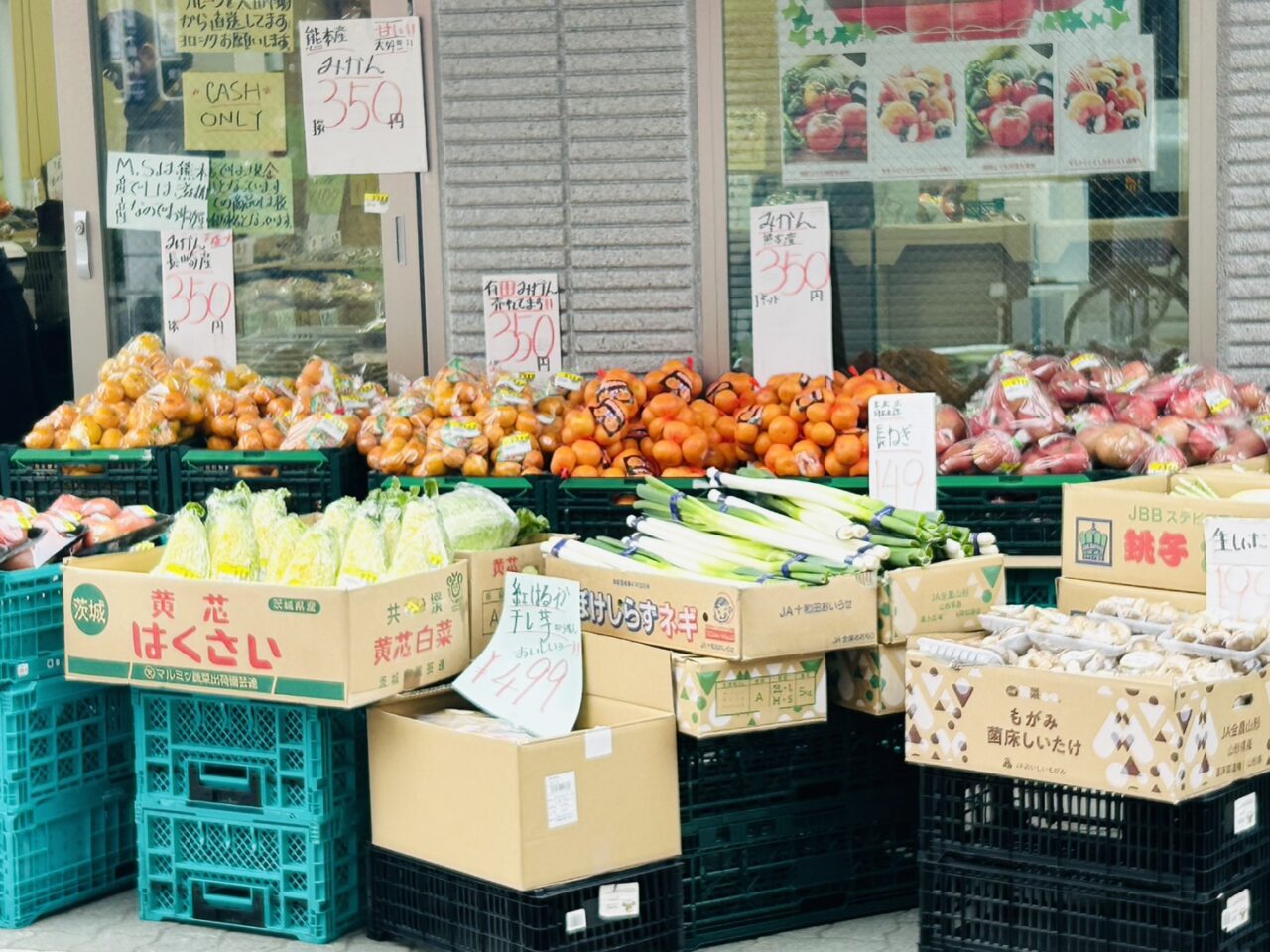 店頭に並ぶたくさんの果物と野菜
