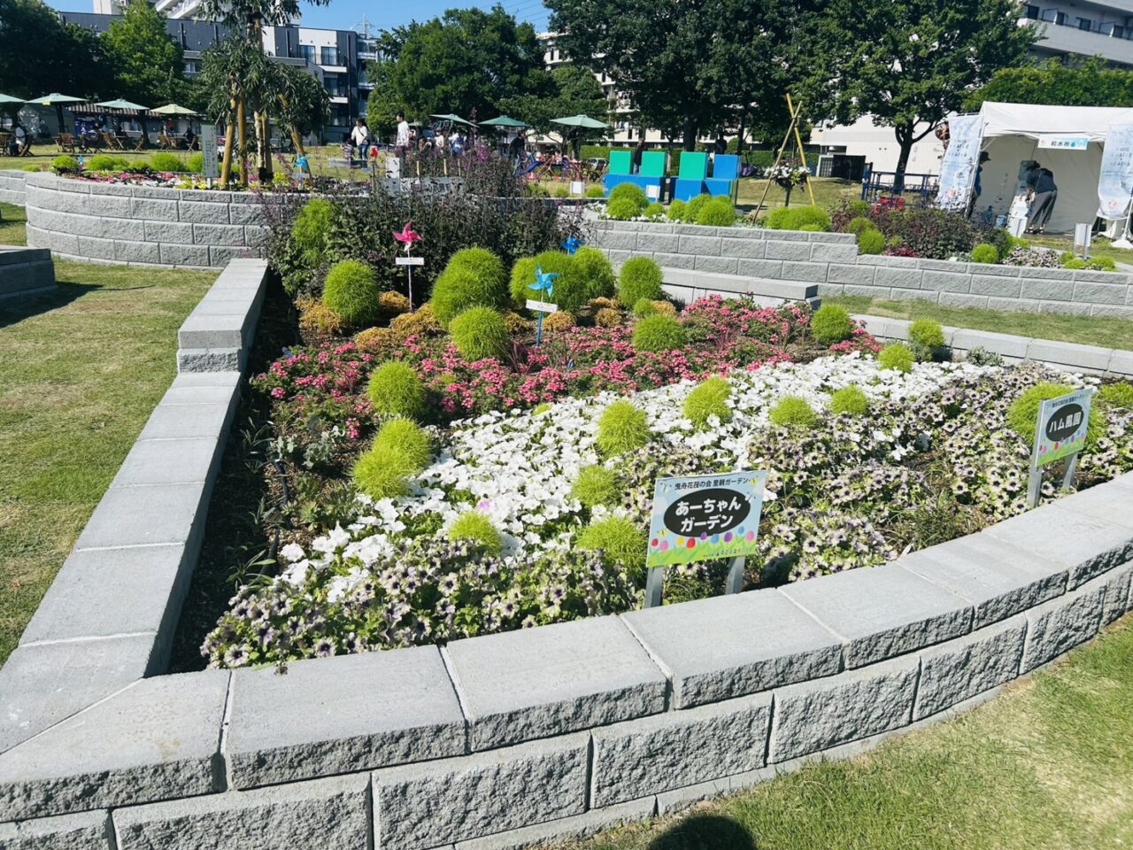 こち亀エリア「曳舟川親水公園」のイベントの様子