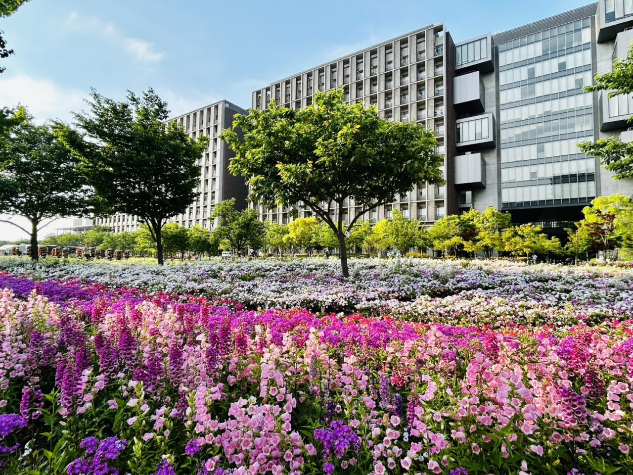 「全国みどりと花のフェア」メイン会場のにいじゅくみらい公園