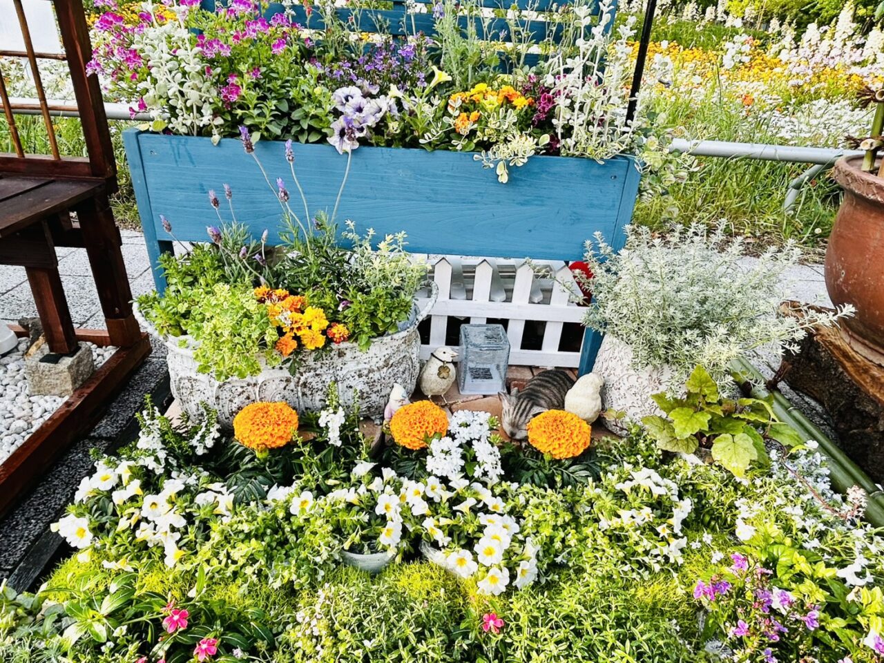 「全国みどりと花のフェア」会場の花の様子