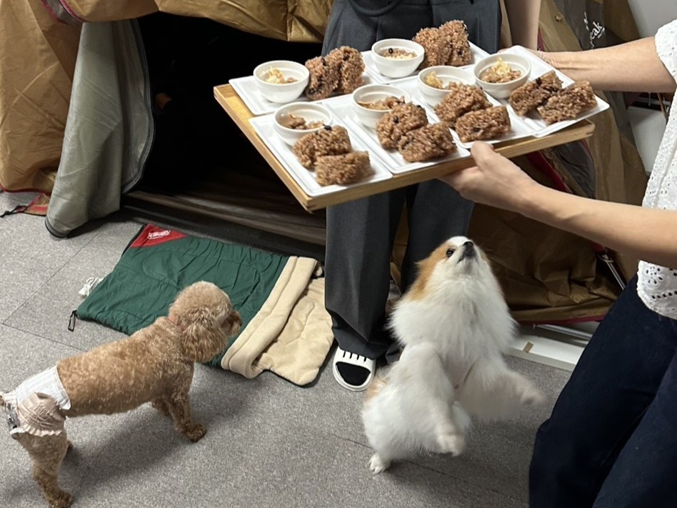 避難訓練でのワンちゃんへの食事